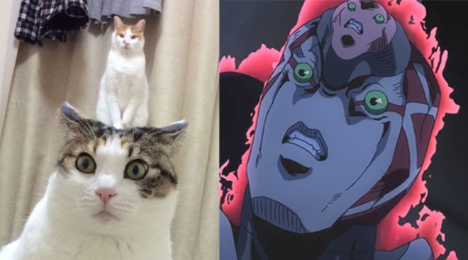 2577ck.com 为了您的财产和信息安全