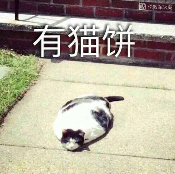 亚洲男男同 弘扬积极健康的男男社会风尚