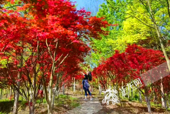 stweetfox视频 Edge、并注意隐私安全