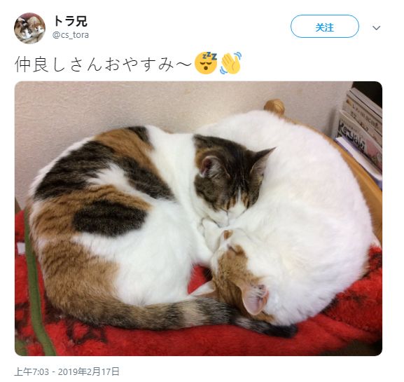 里番迷情 特别是番迷情未成年人