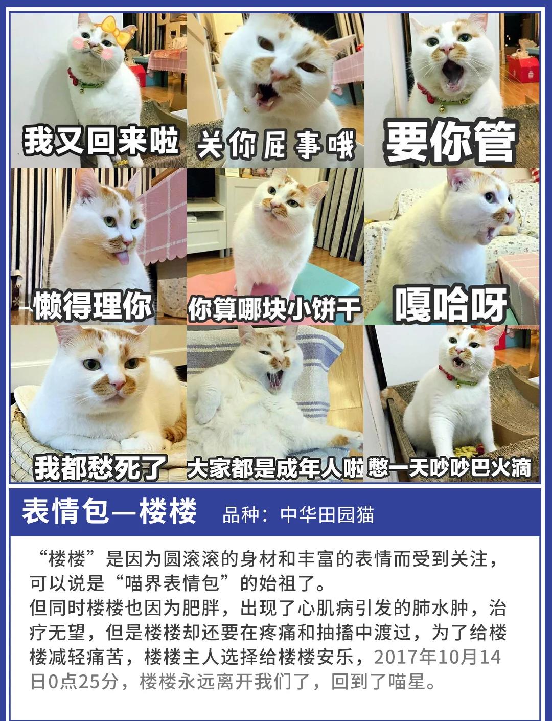 亚洲 自拍 欧美 经典小说 亚洲热热闹闹的自拍