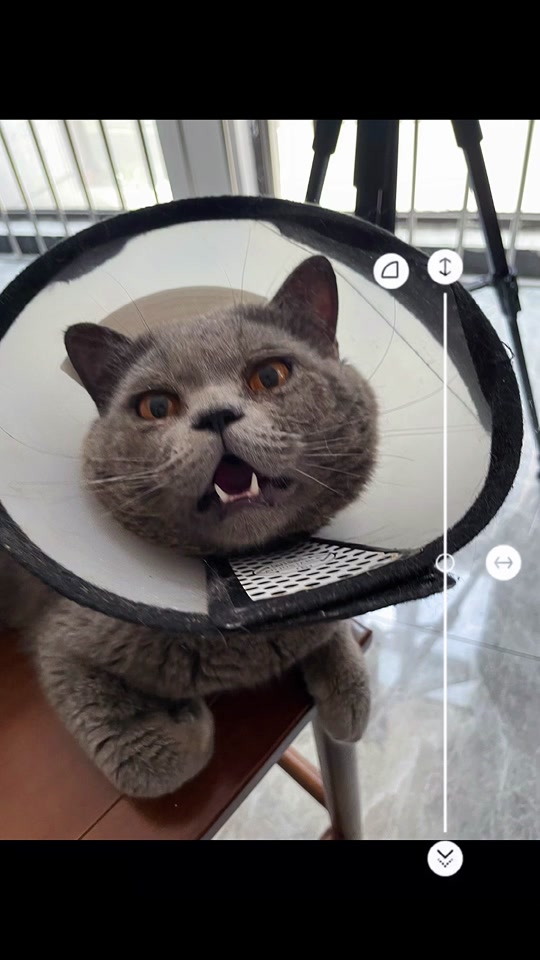 欧美精品国产制服一区 