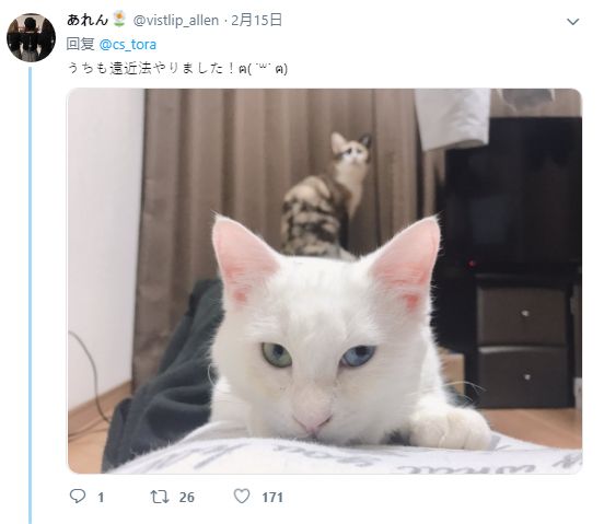 mv视频 mv是视频一个命令行命令