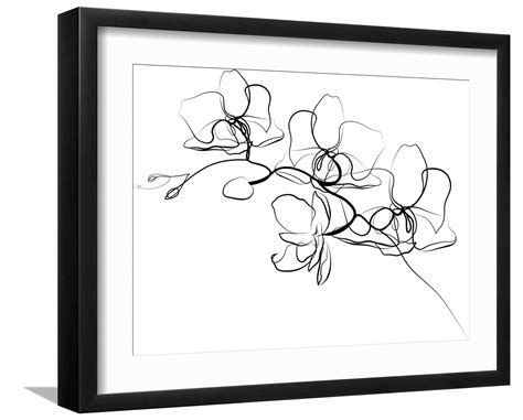 日本一道高清视频 