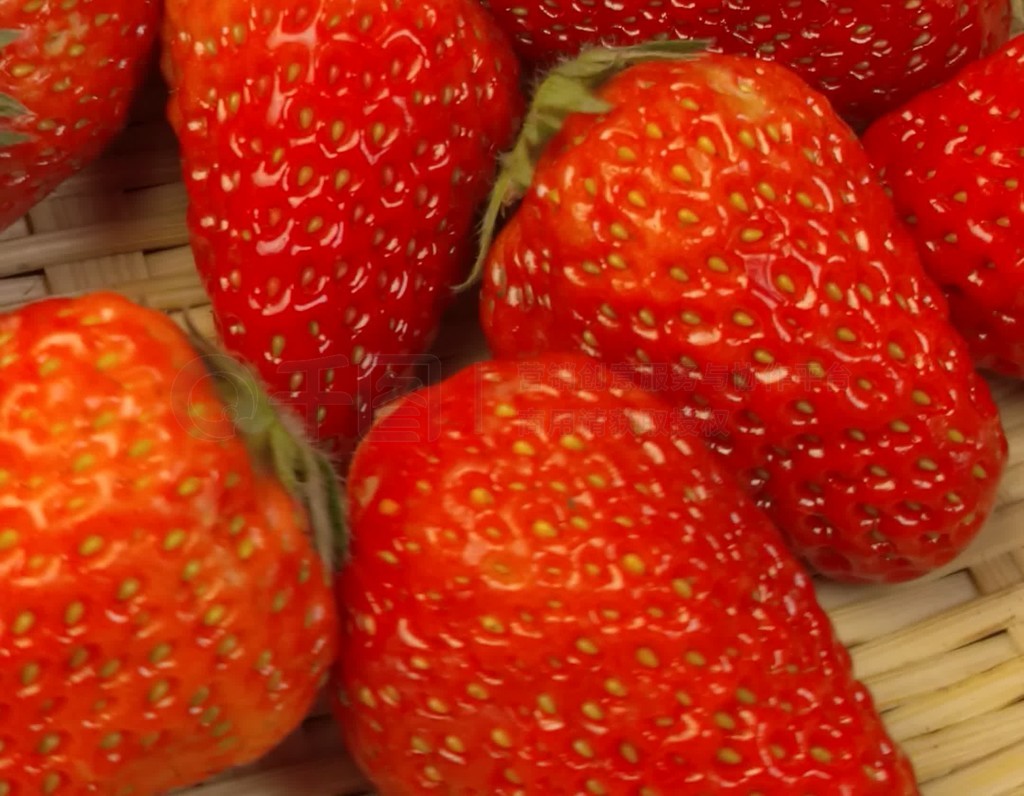 上海环球影城抓奸