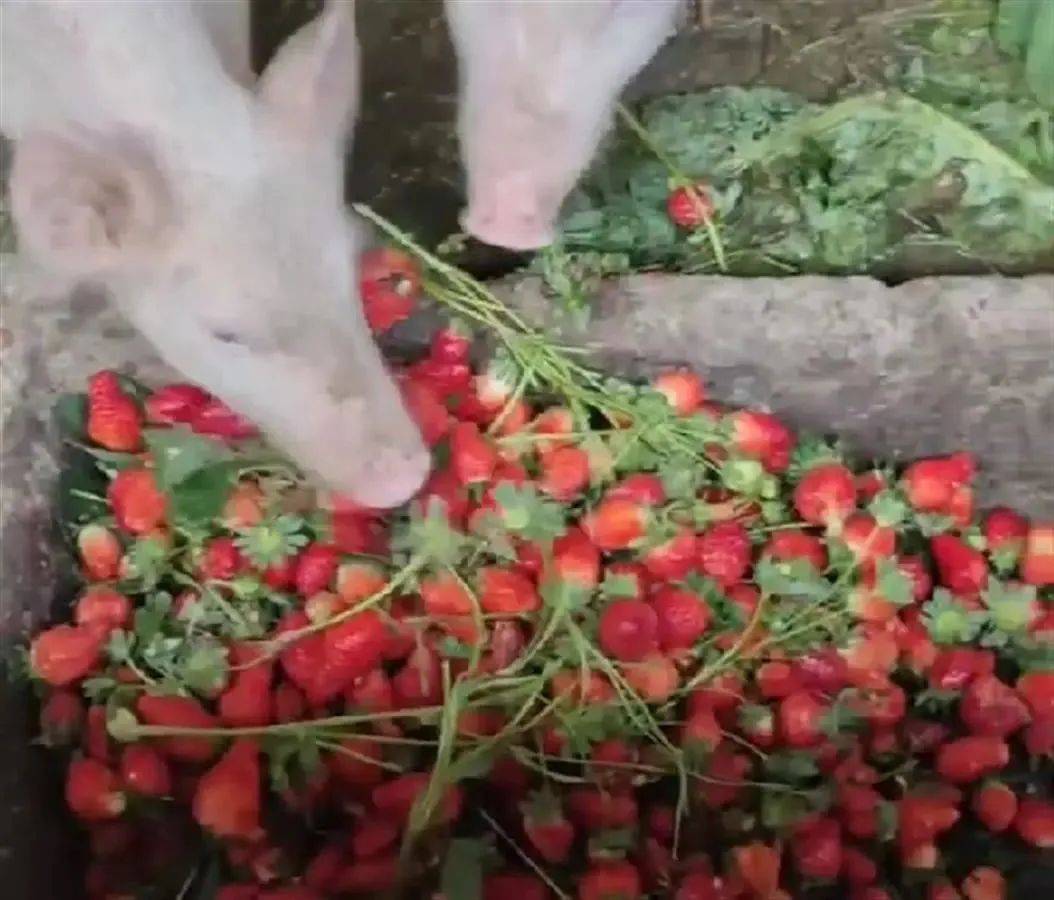 51暗网无套 暗网无套暗网无套对不起