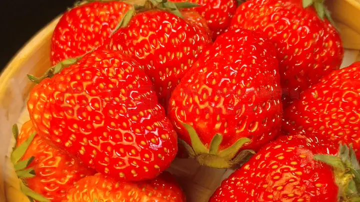 动漫里番分类网址 维护网络空间的动漫清朗环境