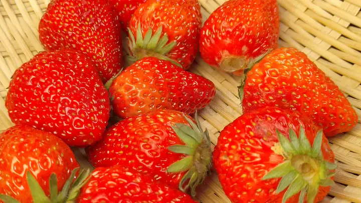 99精品视频国产免费播放