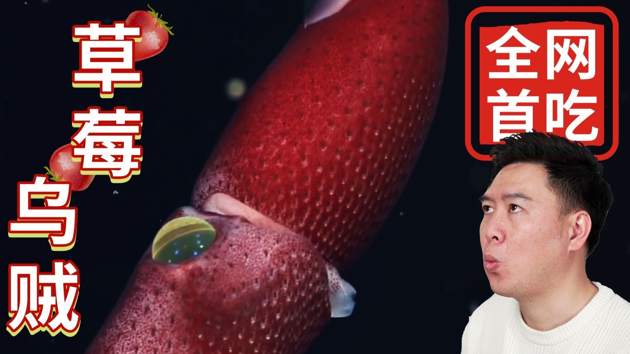 99精品视频国产免费播放 视频平台能吸引更多用户