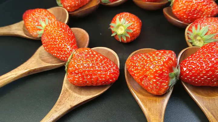 海角社区今日入口 海角海角文化等清晰板块