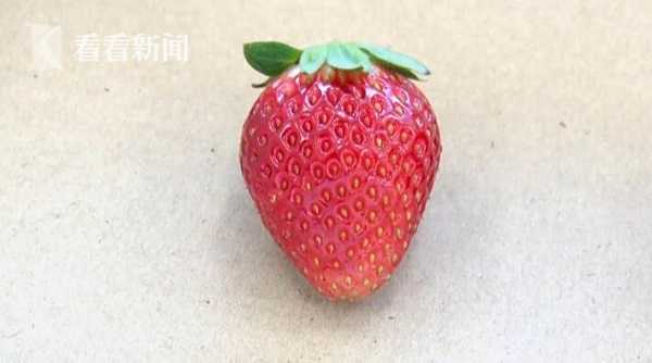 plumpy视频 工作原理和重要性的视频短片