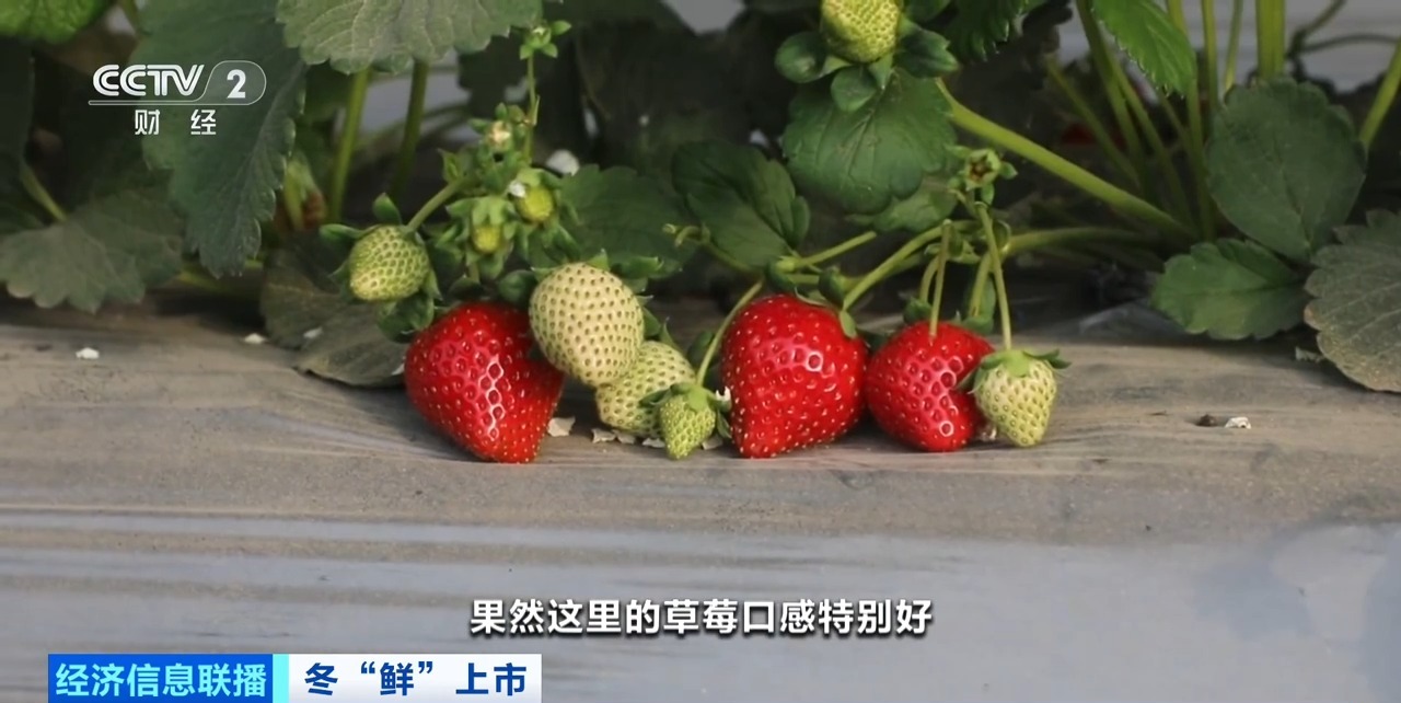 吃瓜第一页入口 “吃瓜第一页入口”应运而生