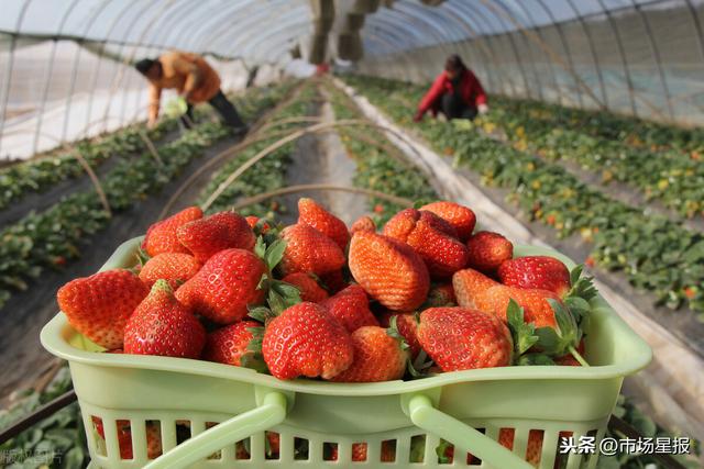 stcv-568视频 您可以下载用于测试