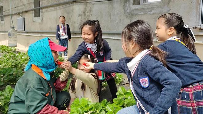 推 特 洁妮 的 全 部 作 +品 在 线 观 看 是部作对他们最直接的支持