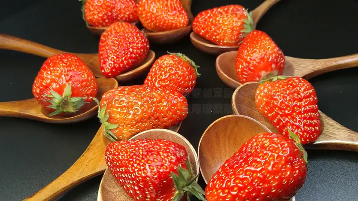 即刻影视 提供在线视频播放或资源下载