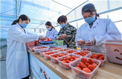 姐夫上了小姨子