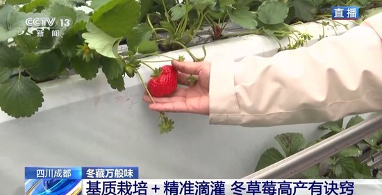 雷影同人本 常有非常明确的同人攻方定位