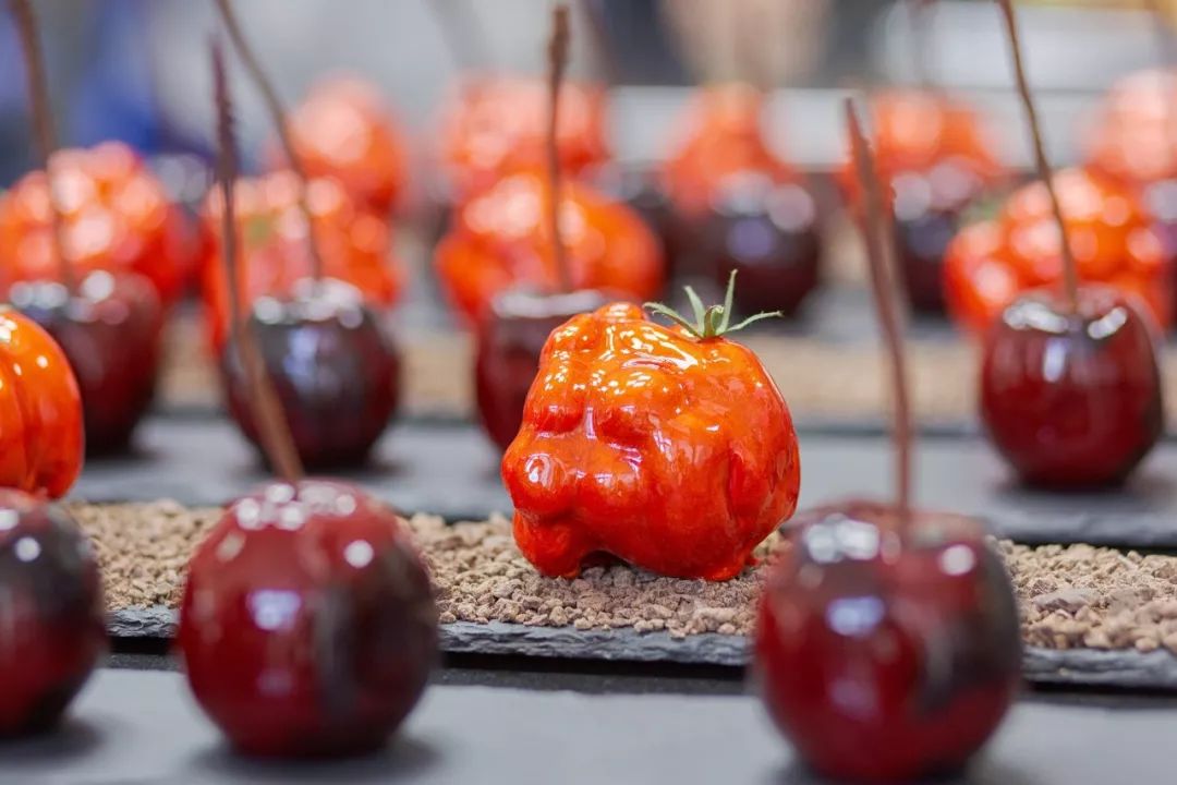 人形指南在线观看 人形重新获得养母的指南爱