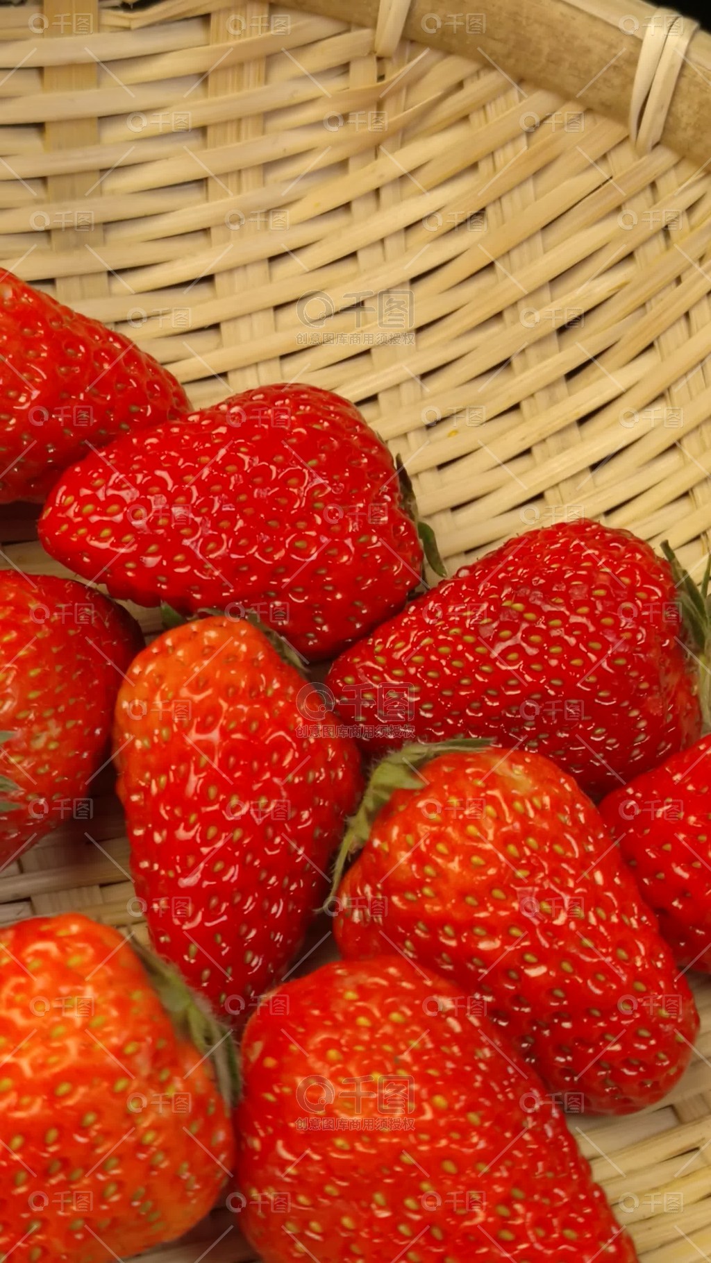 阳光宅男在线影院观看免费