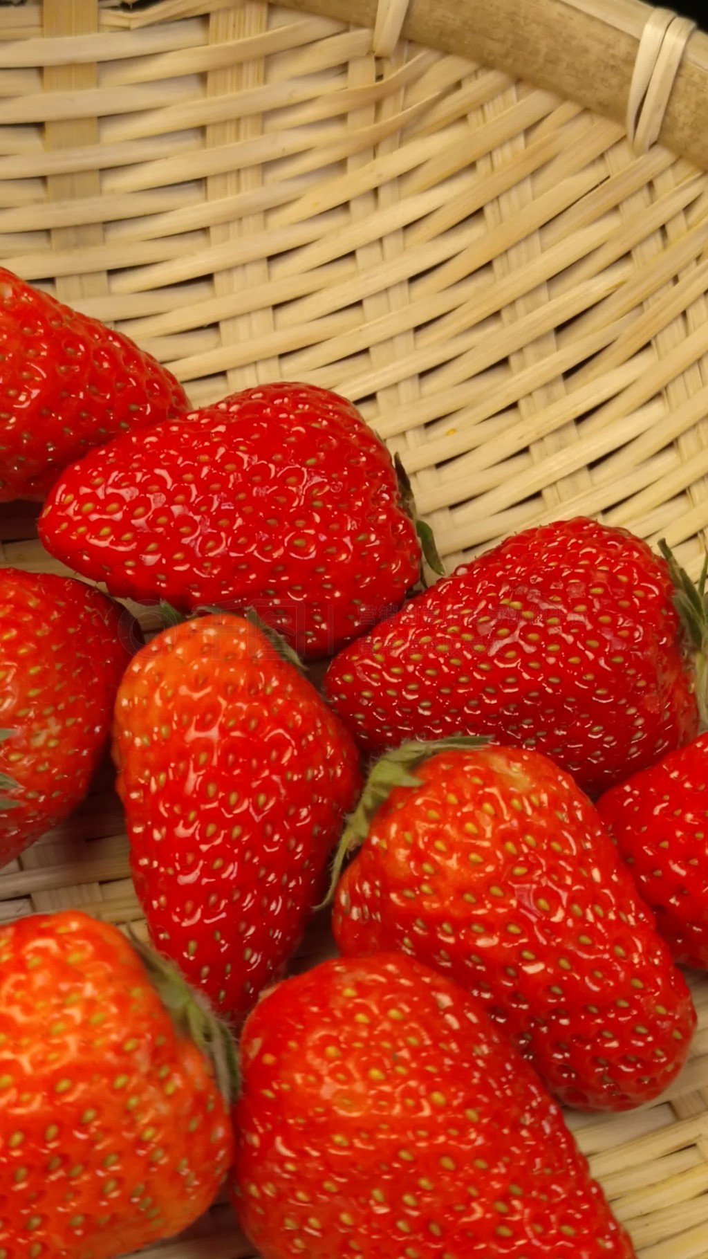 基zz视频国产免费