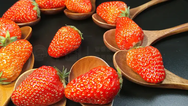 在线中文字幕电影