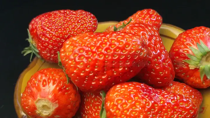 国外成人综艺节目