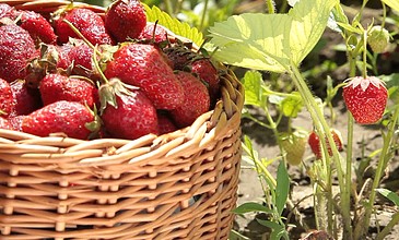 男 同 网 建设性的男同网主题