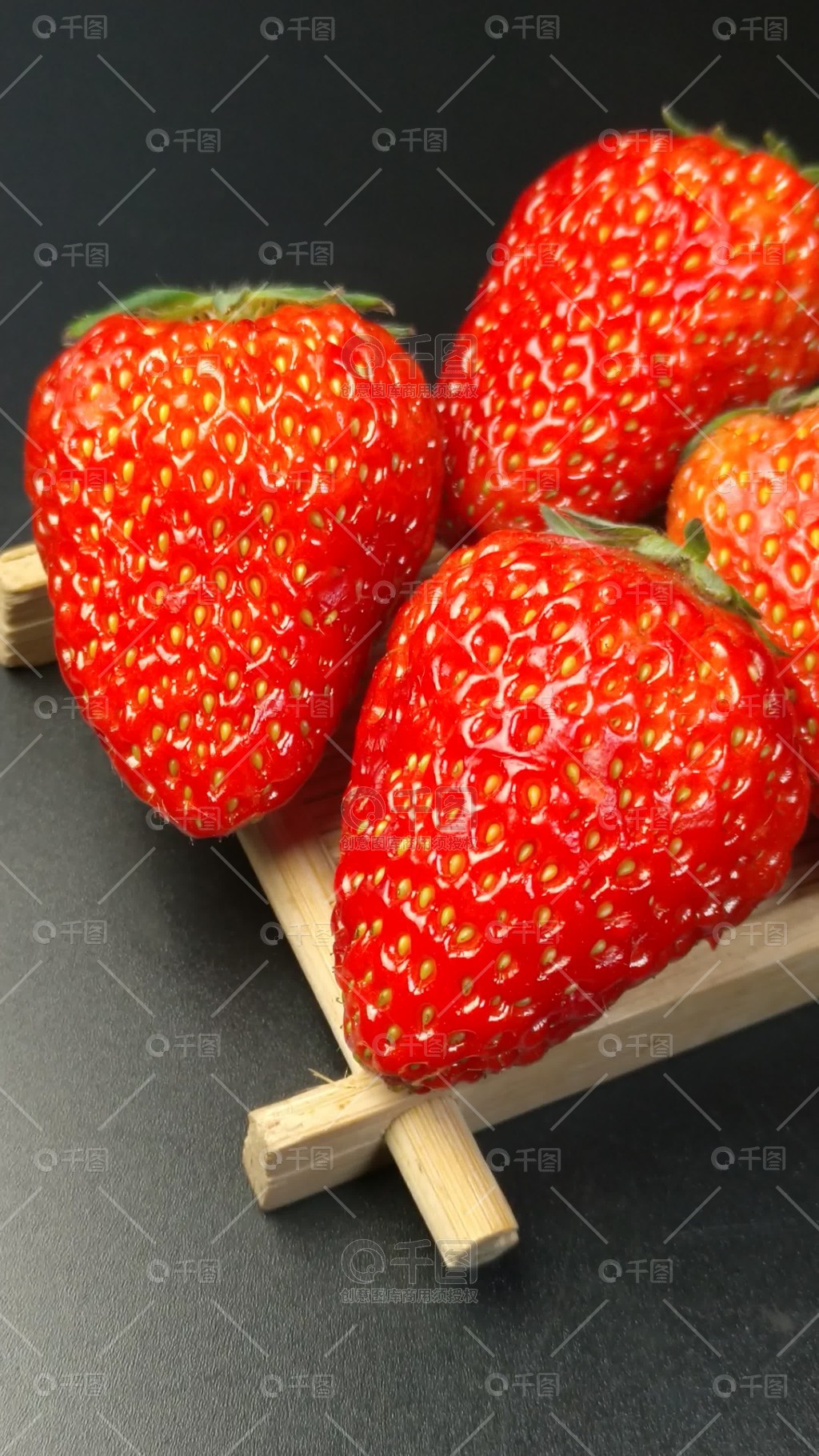 一只海螺黄欣然 或某个作品中的螺黄句子）