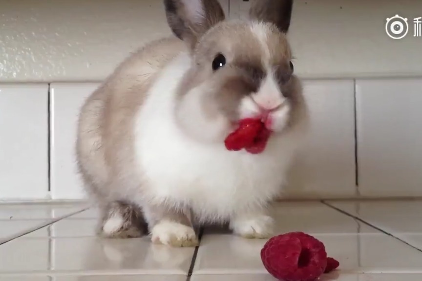 短视频在线影院