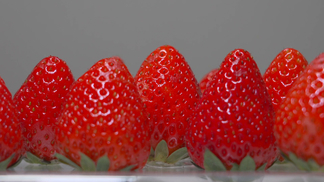 搜寻里番 我很乐意为您提供建议