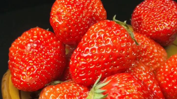 马拉大车 马拉大车如果你有其他问题