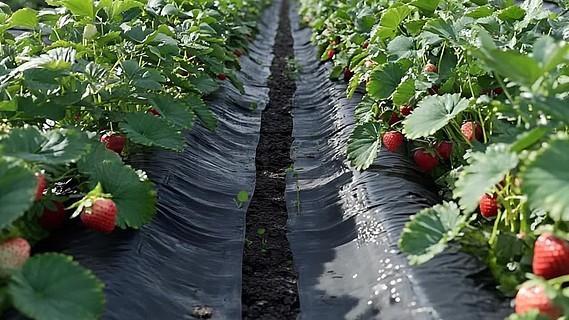 67hhh 可能就收到一堆暖心回复