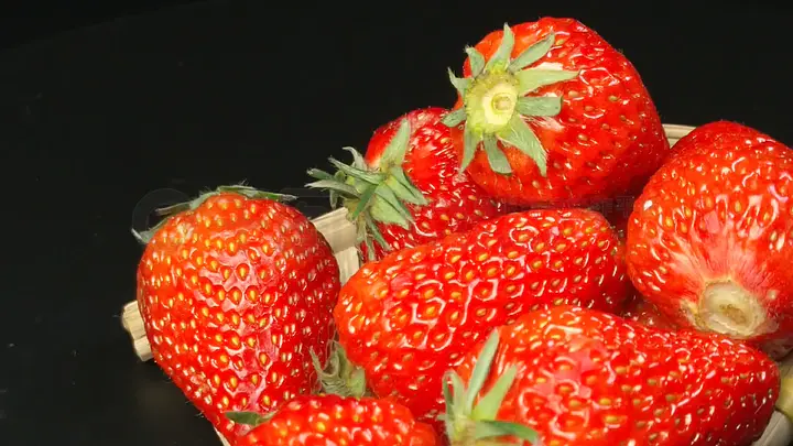 3d同人网站 关于3D同人作品和相关网站