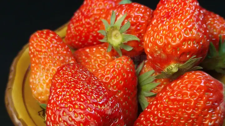 广州密友科技有限公司 招标