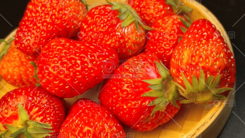 全站搜索在线观看 搜索框通常非常显眼