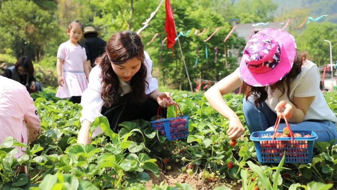 51吃瓜网线路一