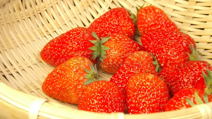 伊金霍洛旗品茶