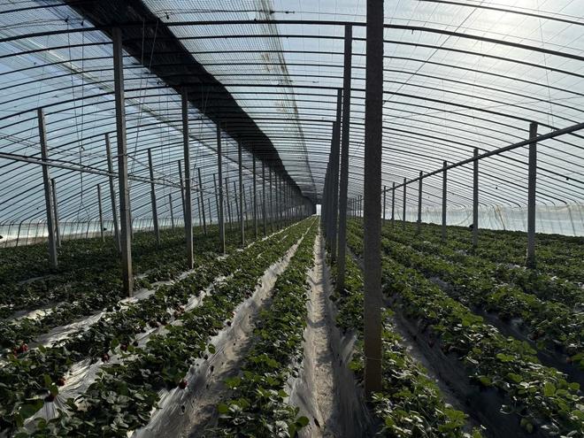 亚洲精品99久久久久中文字幕