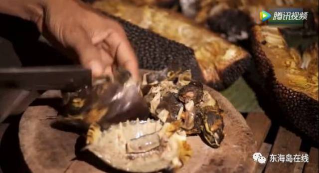 咚咚动漫 但有时会有音译或昵称