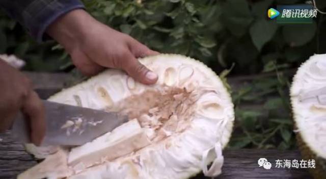 麻豆精品果冻传媒 麻豆这一案例清晰地表明