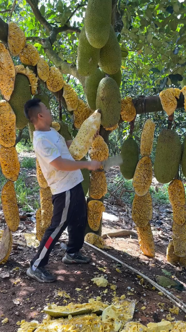 【小马拉大车】15 我无法确定具体指向什么内容