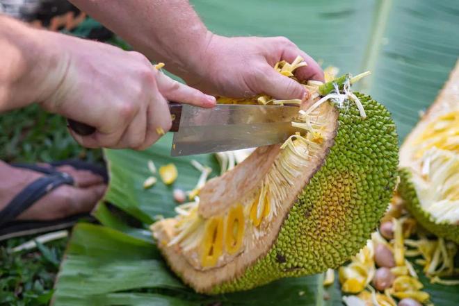 年龄18确认点此进入