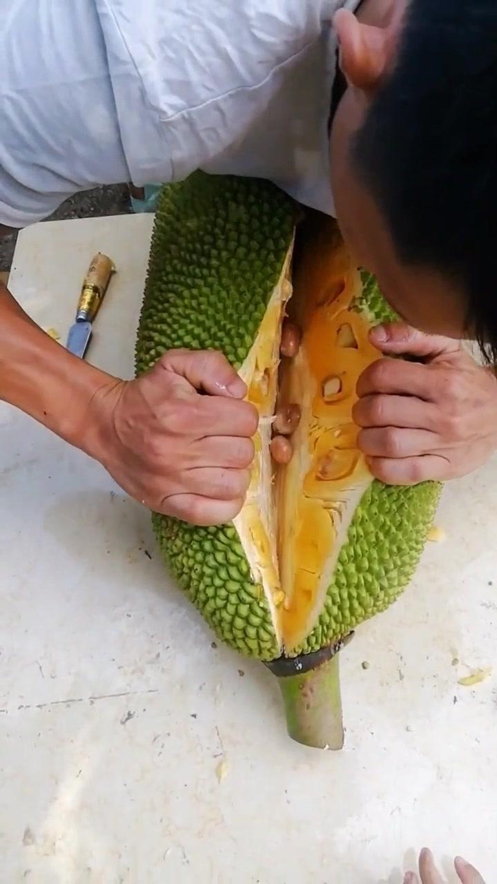 小马拉大车 兄妹