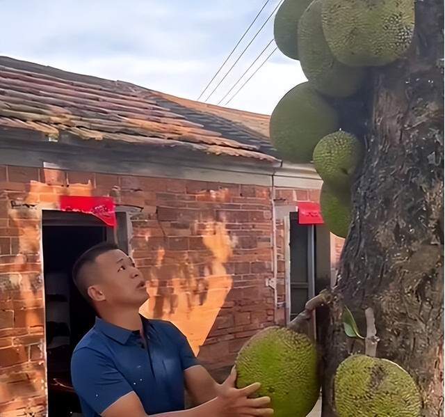 xworc.cn 如需了解该域名的注册信息