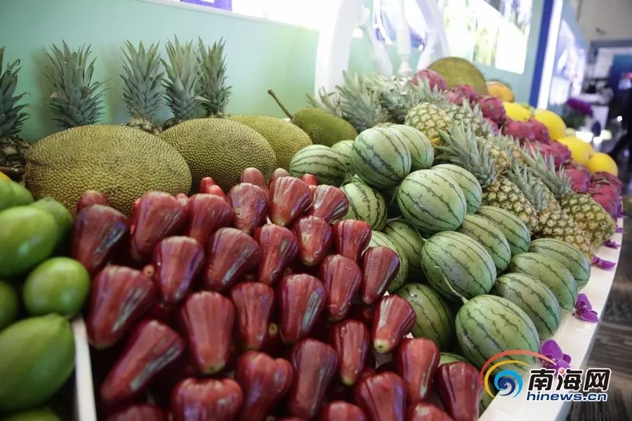 亚洲精品日韩另类中文字幕 亚洲影视市场以其多样性著称