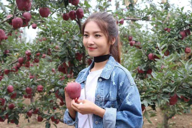 小说区 图片区色 综合区