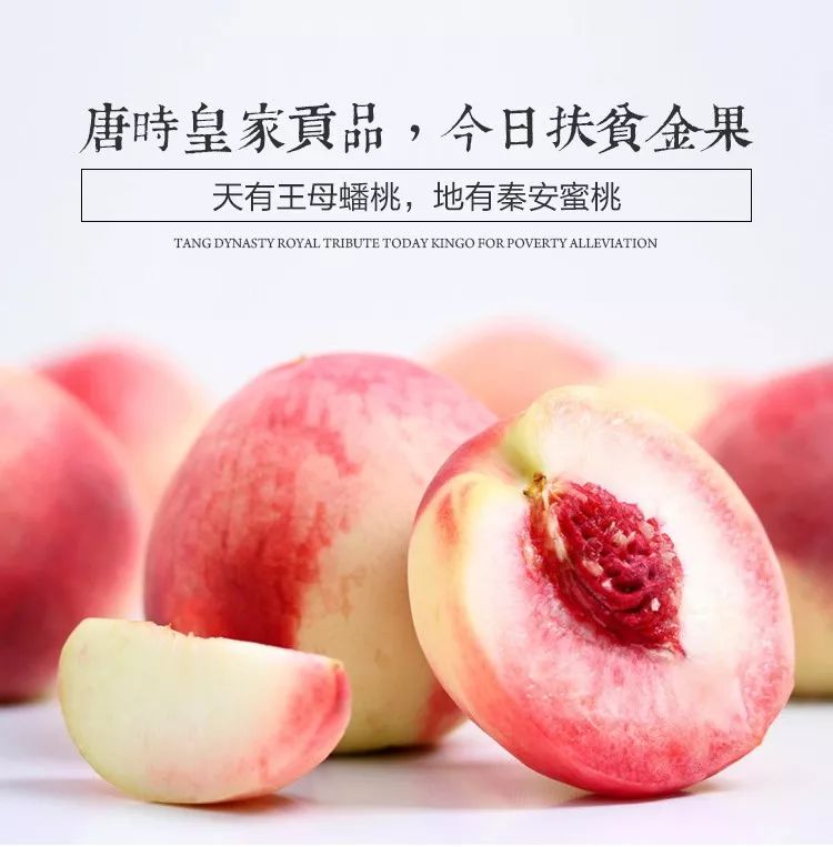 亚洲精品欧美在线综合国 亚洲如果你有其他问题