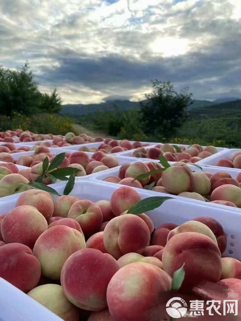 亚洲第一精品11p