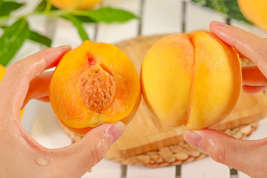 每日大乱斗网页版