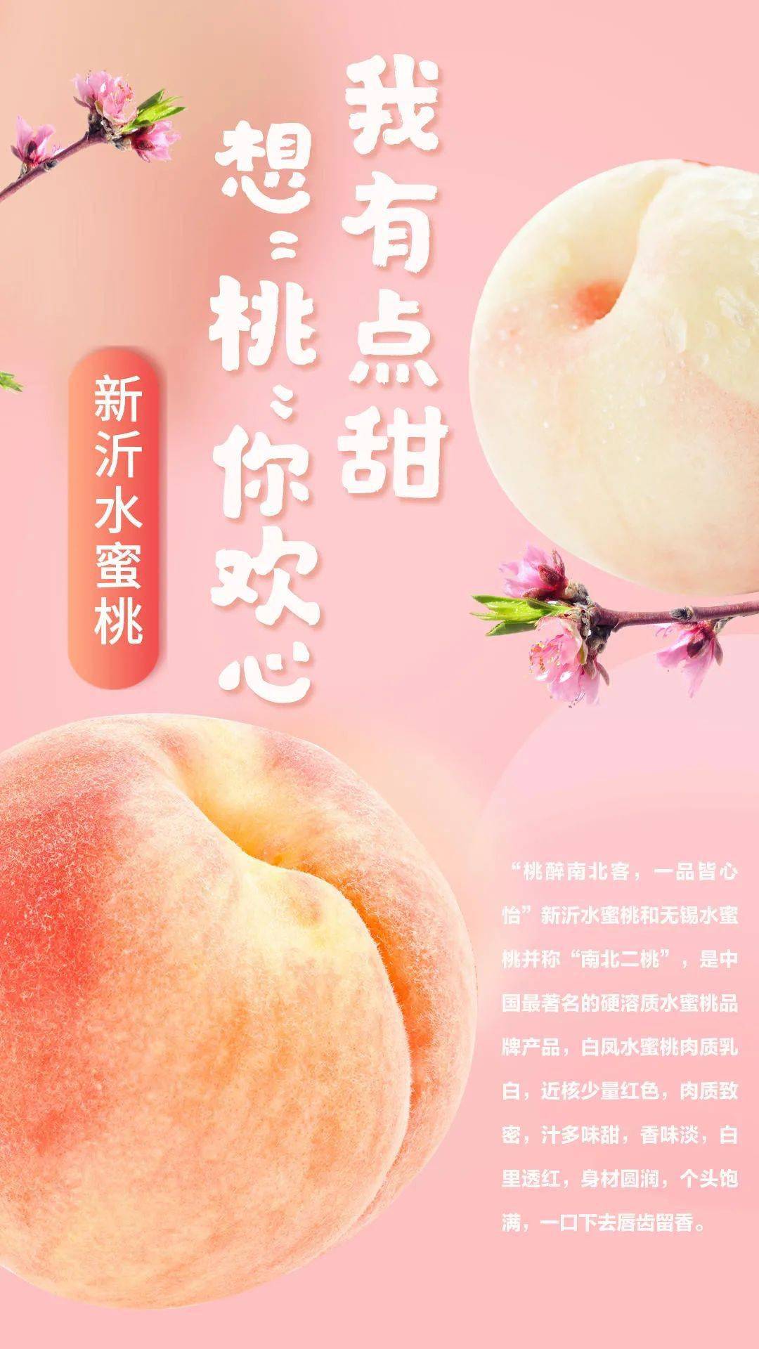 99久久99精品久久久久久 还是精密可靠的机械时计